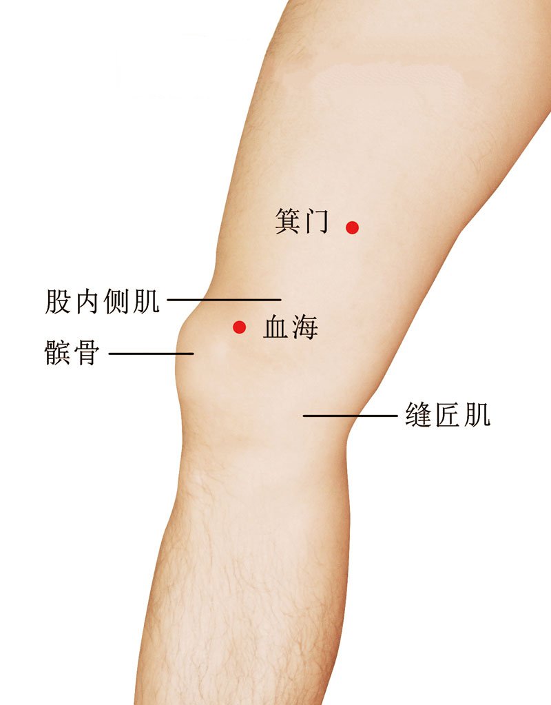 血海穴准确位置视频图作用功效配穴方法