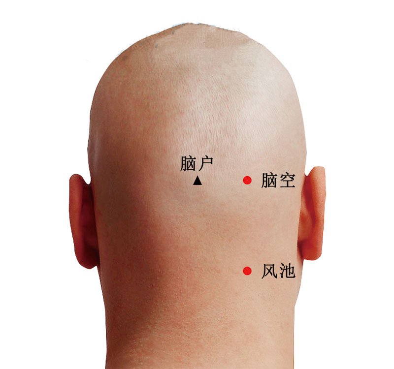 风池穴准确位置视频图作用功效配穴方法