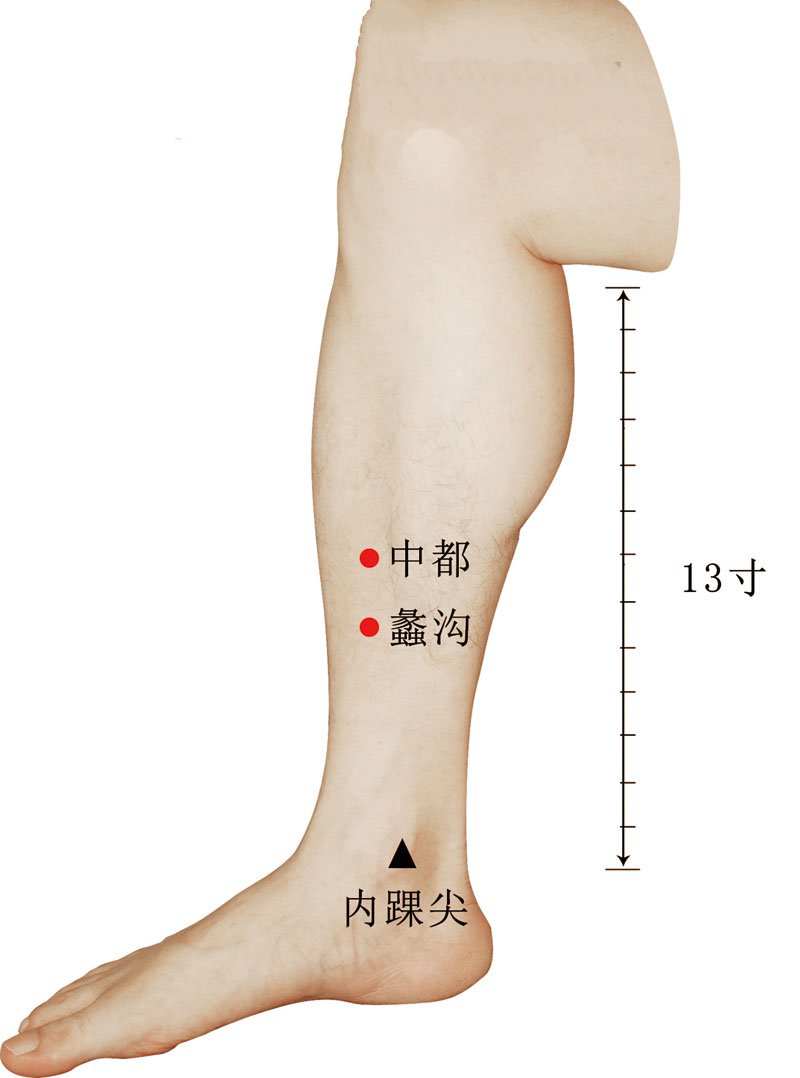 中都穴准确位置视频图作用功效配穴方法