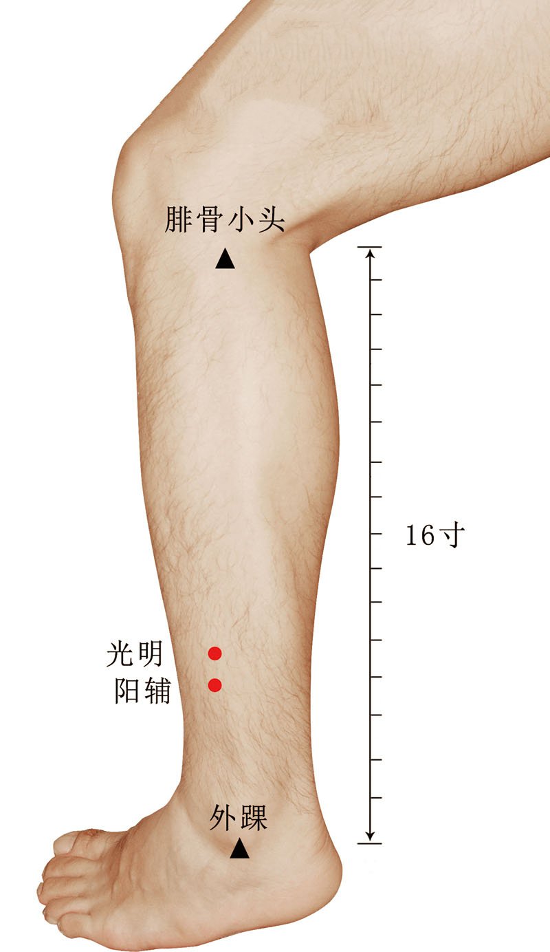 阳辅穴准确位置视频图作用功效配穴方法