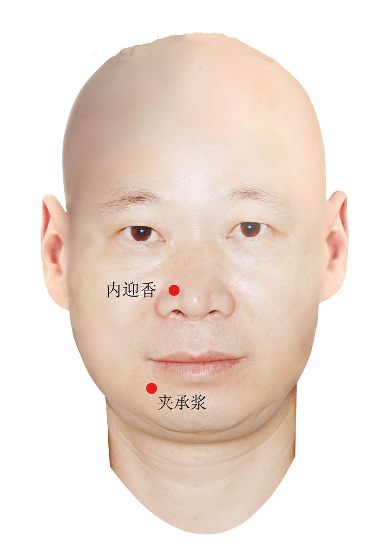 内迎香穴准确位置视频图作用功效配穴方法