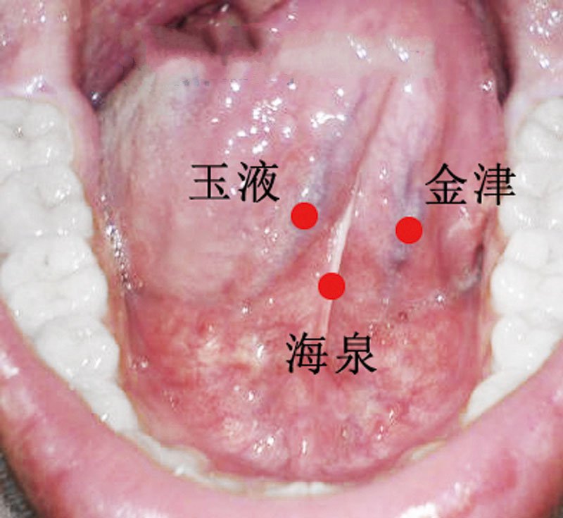 玉液金津图片