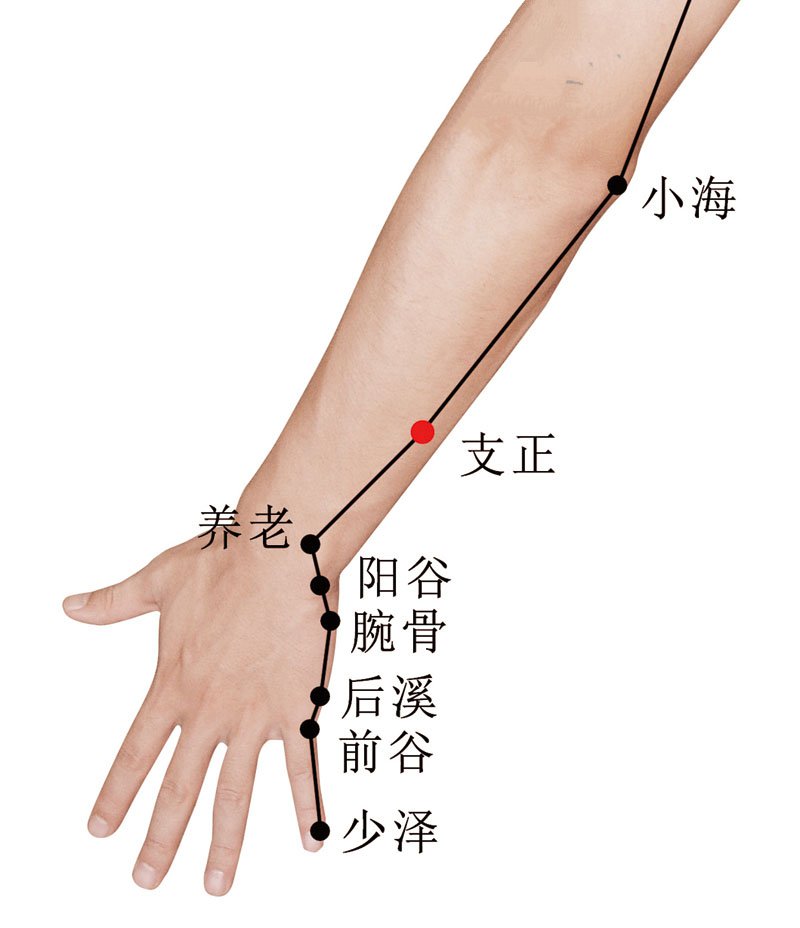支正穴準確位置視頻圖作用功效配穴方法