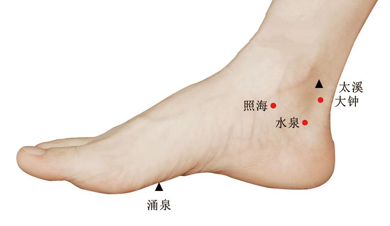 水泉穴准确位置视频图作用功效配穴方法