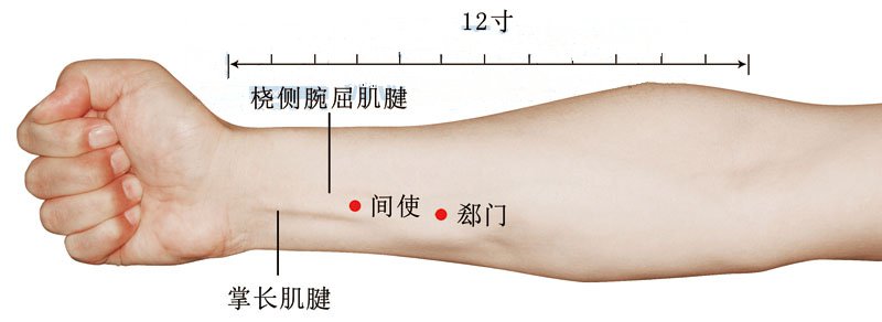 郄门穴准确位置视频图作用功效配穴方法