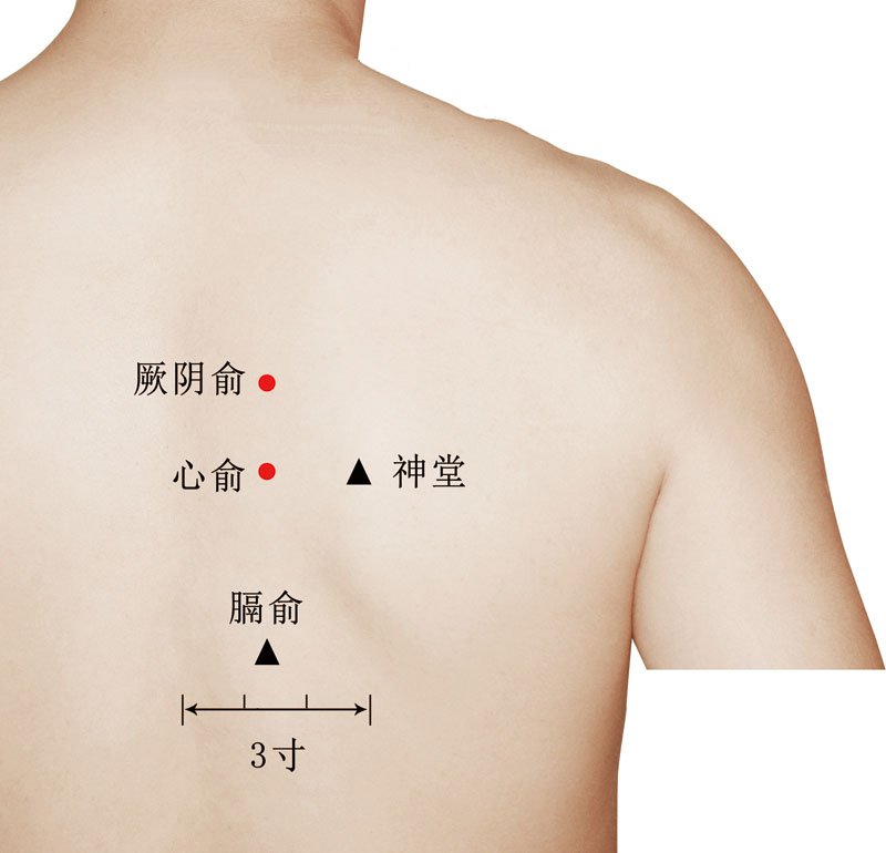 厥阴准确位置图片作用图片