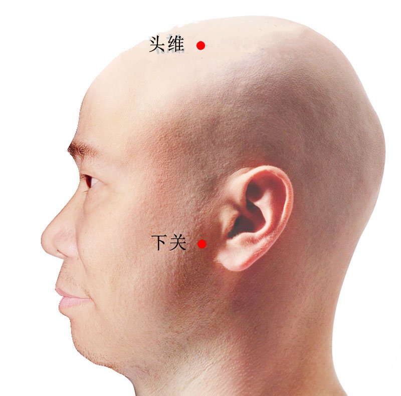 头维穴准确位置视频图作用功效配穴方法