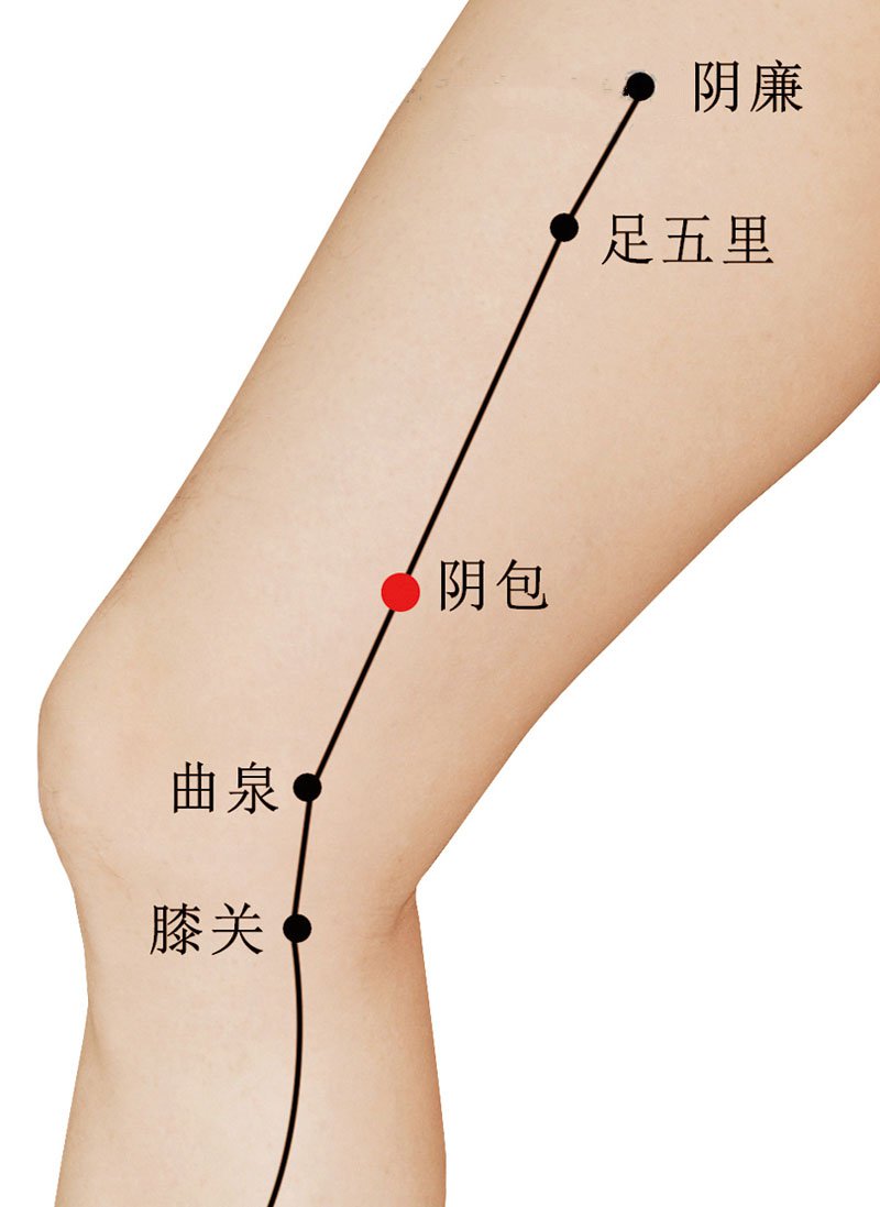 阴包穴准确位置视频图作用功效配穴方法